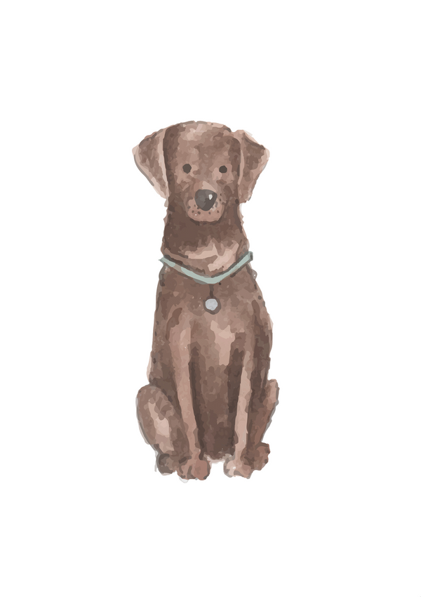 Chocolate Lab Print - 1