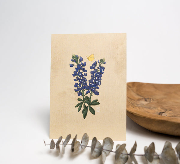 Bluebonnets and Butterfly Art Print - 1