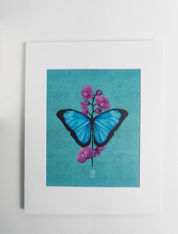 Blue Morpho Butterfly Art Print | Blue Background - 2