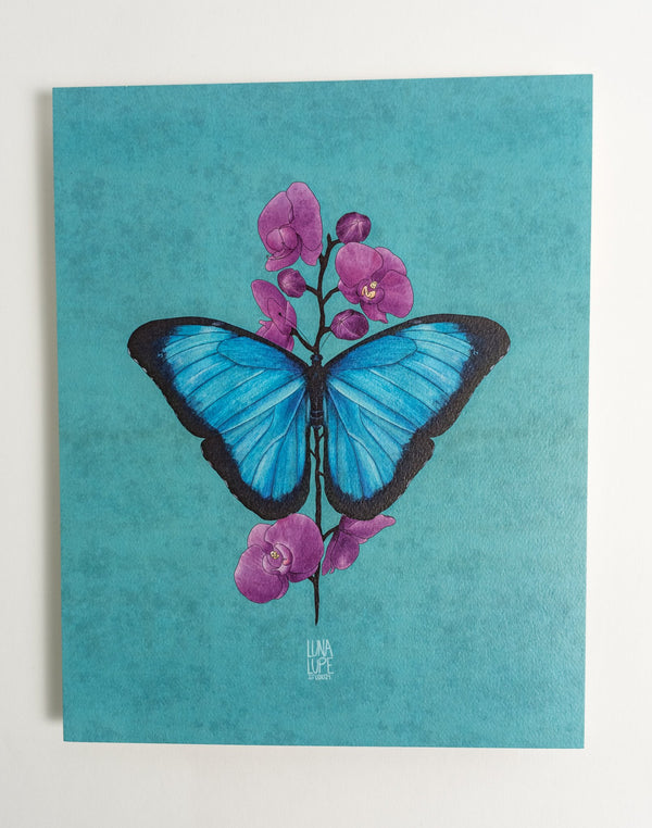 Blue Morpho Butterfly Art Print | Blue Background - 1