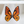 Load image into Gallery viewer, Monarch Butterfly Wing Earrings - 3
