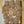 Load image into Gallery viewer, 611fc05e3c4ce80992caae23_armadillo-blurred_1790894785376.png

