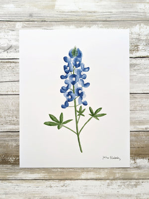 611fc05e3c4ce80992caae23_bluebonnet-print_1752696853273.jpg