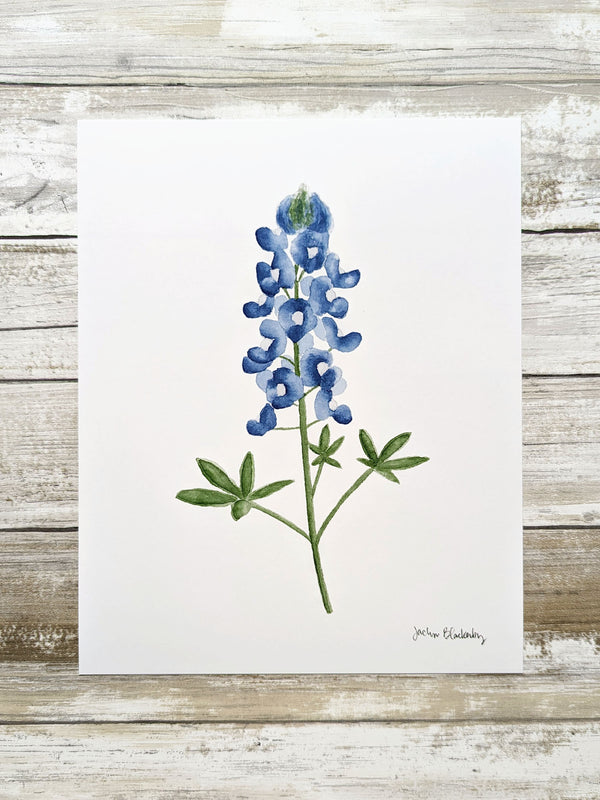 611fc05e3c4ce80992caae23_bluebonnet-print_1752696853273.jpg