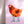Load image into Gallery viewer, 611fc05e3c4ce80992caae23_cowgirl-chicken-print-3_1783029483742.jpg
