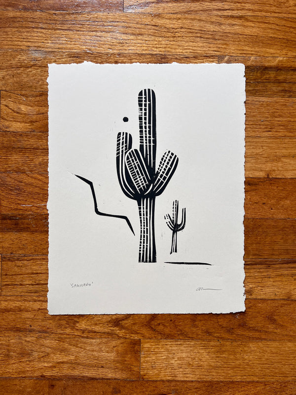 611fc05e3c4ce80992caae23_ellen-orchard-saguaro1_1780604006582.jpg