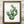Load image into Gallery viewer, 611fc05e3c4ce80992caae23_framed-prickly-pear-cactus_1752699911192.jpg
