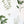Load image into Gallery viewer, 611fc05e3c4ce80992caae23_herbs-prints_1774991553370.jpg
