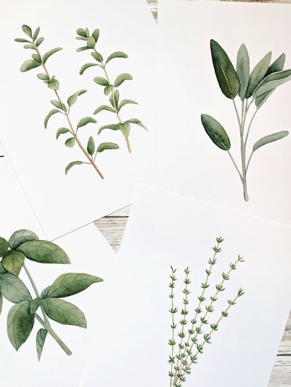 611fc05e3c4ce80992caae23_herbs-prints_1774991553370.jpg