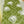 Load image into Gallery viewer, 611fc05e3c4ce80992caae23_img-9491_1790366289256.jpg
