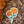 Load image into Gallery viewer, 611fc05e3c4ce80992caae23_lls-marigold-sticker-2_1748662042093.jpg
