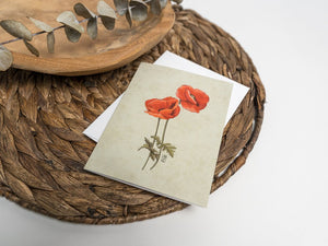 611fc05e3c4ce80992caae23_lls-product-redpoppy-card-1_1747881609442.jpg