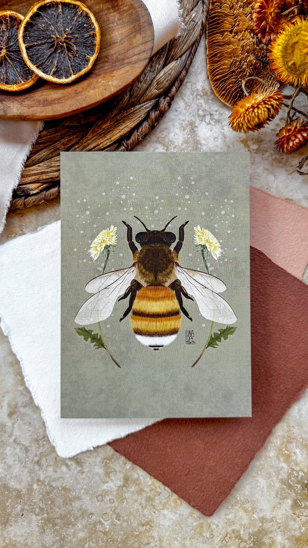 611fc05e3c4ce80992caae23_lunalupestudio-bee-print-4-2_1764638877017.jpg