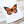 Load image into Gallery viewer, 611fc05e3c4ce80992caae23_monarch-butterfly-card-detail_1753795881231.jpg
