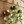 Load image into Gallery viewer, 611fc05e3c4ce80992caae23_p2_1779943623579.png

