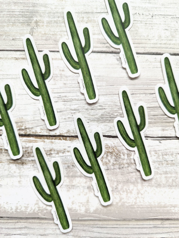 611fc05e3c4ce80992caae23_sticker-cactus-multiples_1753884803135.jpg