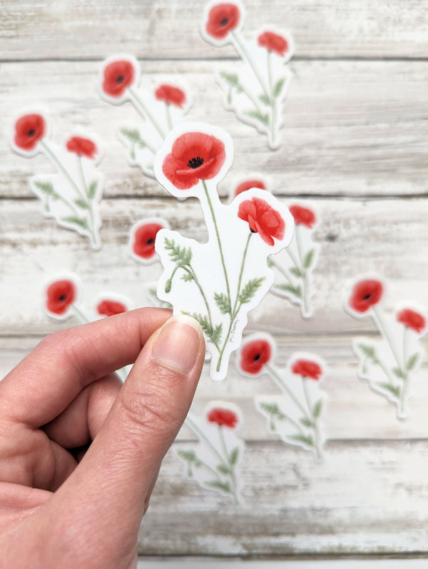611fc05e3c4ce80992caae23_sticker-holding-red-poppy_1753884547572.jpg