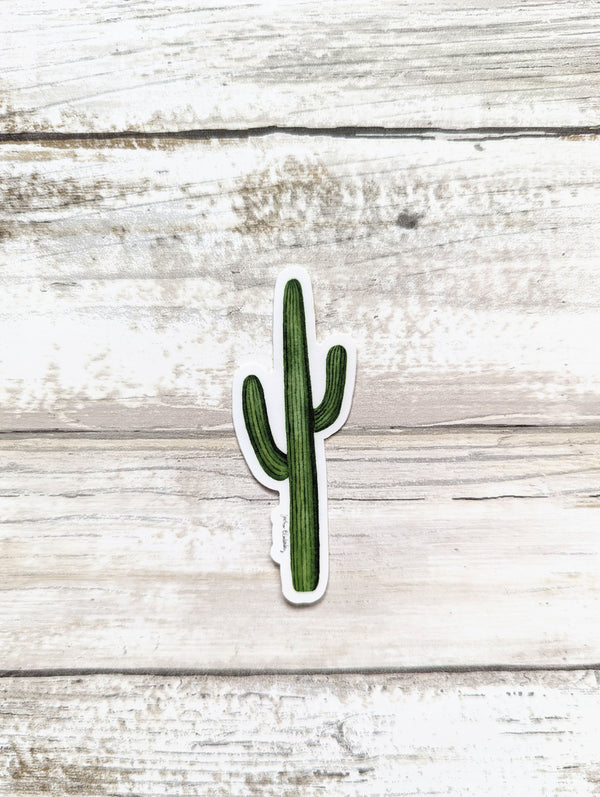 611fc05e3c4ce80992caae23_sticker-single-cactus_1753884803134.jpg