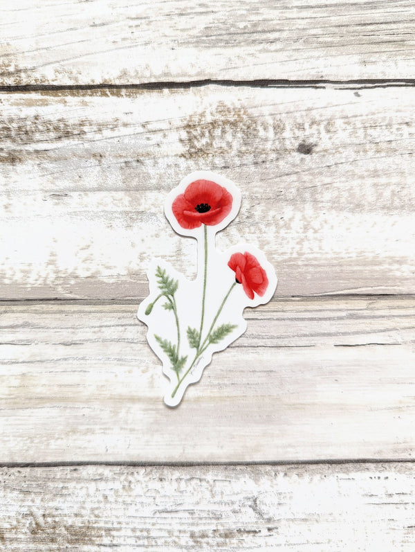 611fc05e3c4ce80992caae23_sticker-single-red-poppy_1753884547572.jpg