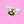 Load image into Gallery viewer, 611fc05e3c4ce80992caae23_str-011-g2_1776377606121.jpg
