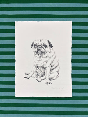 611fc05e3c4ce80992caae23_tempimage4v6bxf_1789412592775.jpg