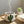 Load image into Gallery viewer, 611fc05e3c4ce80992caae23_texas-cactus-ceramic-mug-2_1770681740285.jpg
