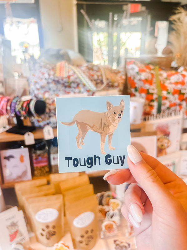 Tough Guy Chihuahua Sticker