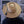 Load image into Gallery viewer, Golf Camel Hat - 3
